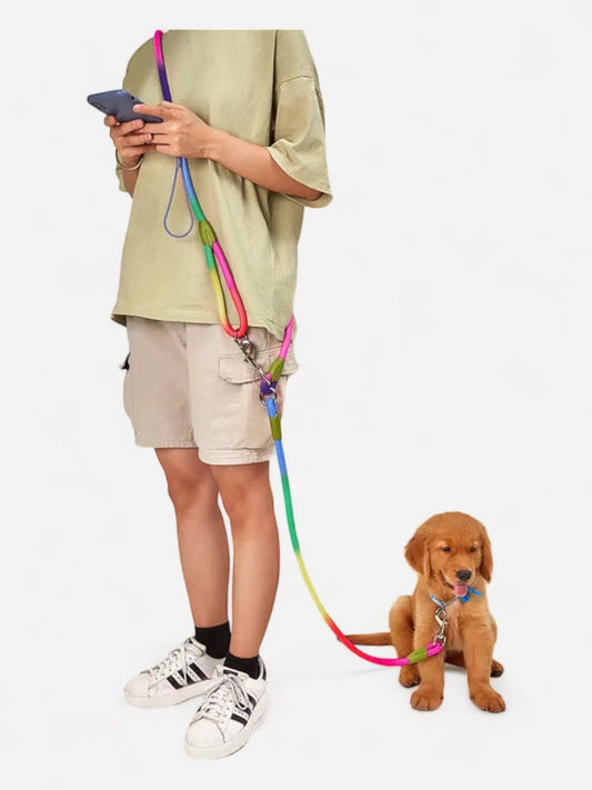 CAWAYI KENNEL Reflective Nylon Dog Leash - canineheavencanineheaven