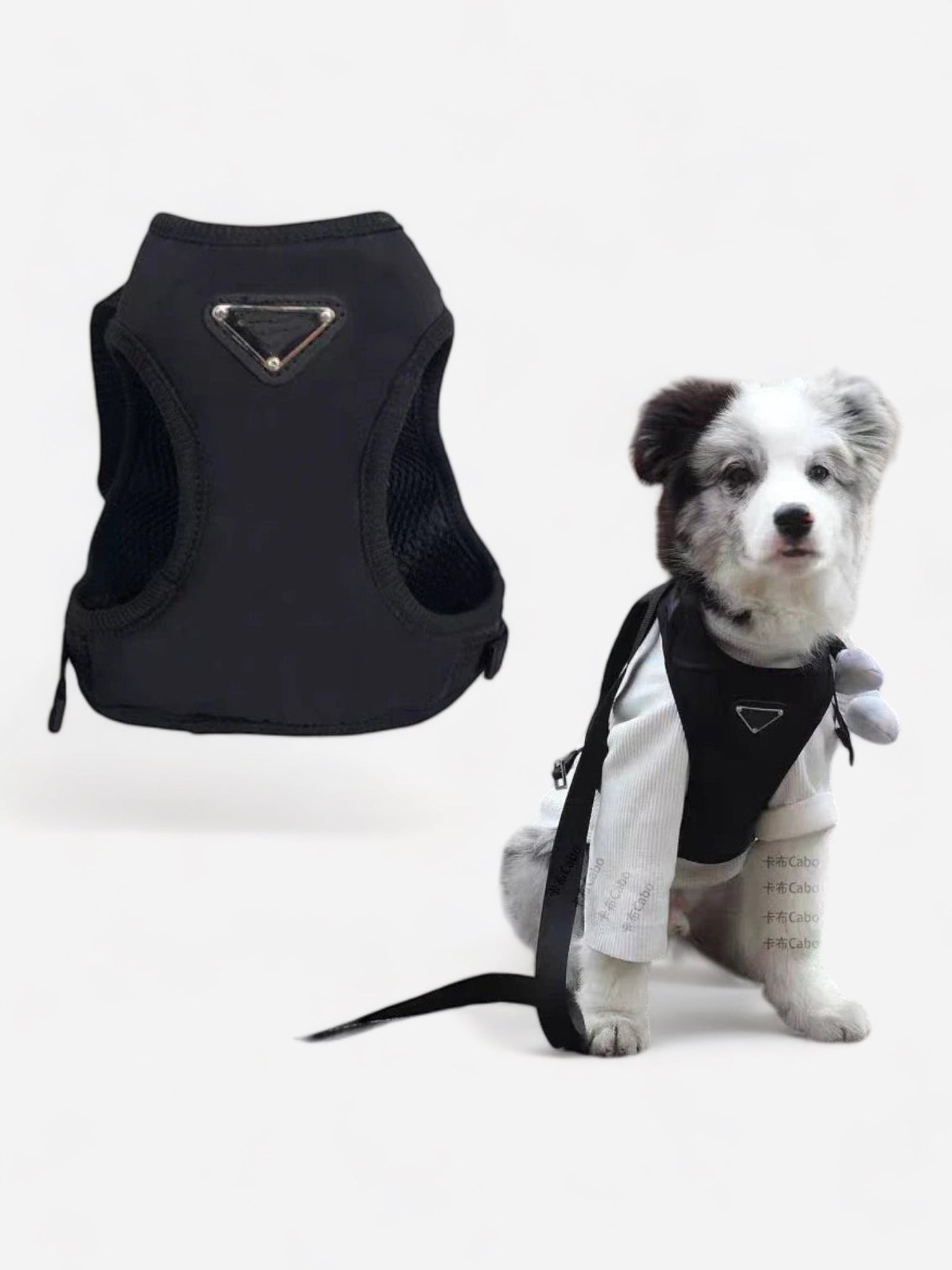 Classic Black Luxury Dog Leash & Harness Set - canineheavencanineheaven
