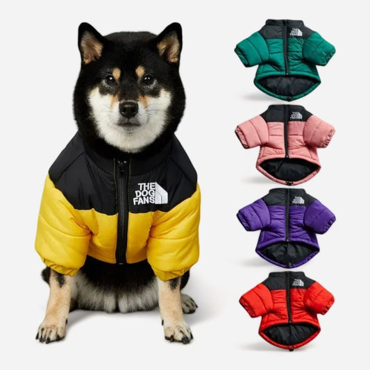 Dog Face Windproof & Rainproof Winter Coat for Large Do - canineheavencanineheaven