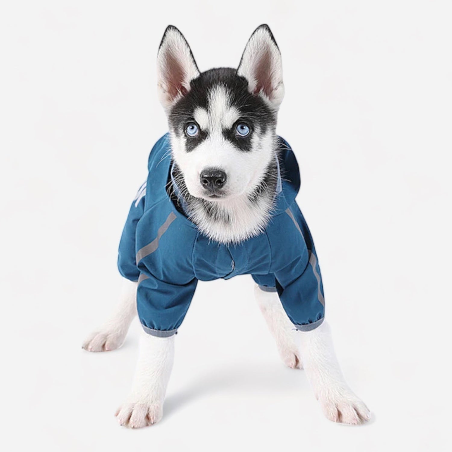 Dog Raincoat with Hood - canineheavencanineheaven