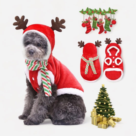 Festive Christmas Dog Hoodie - canineheavencanineheaven