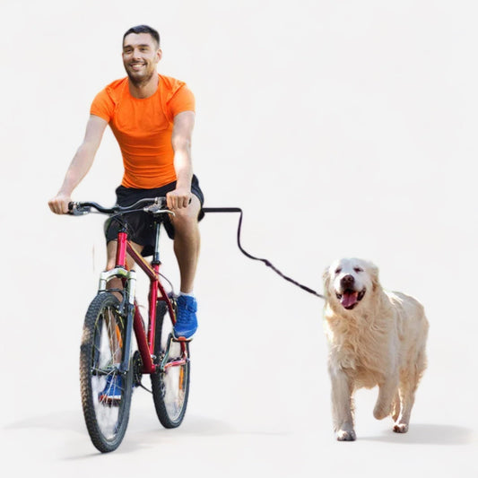 Hands-Free Dog Bike Leash System - canineheavencanineheaven